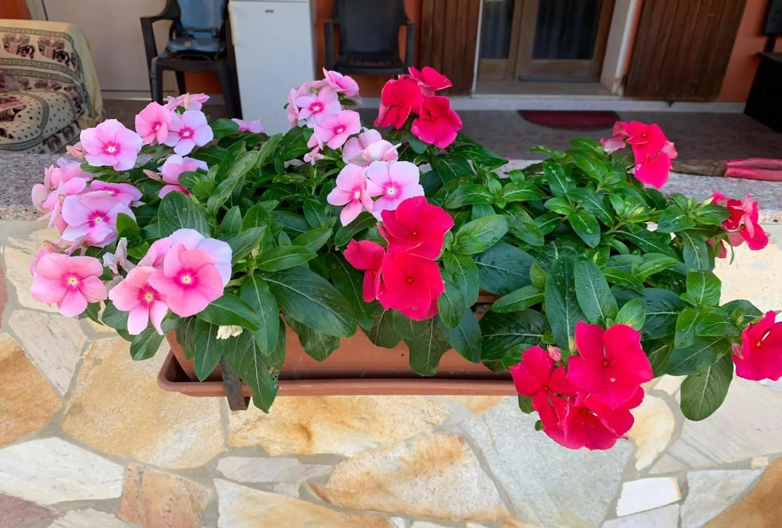 B&B Sterlizia Santa Maria la Palma Bed & Breakfast